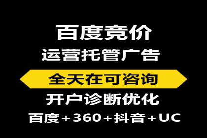 百度SEO推广公司案例精选：揭秘关键词优化策略